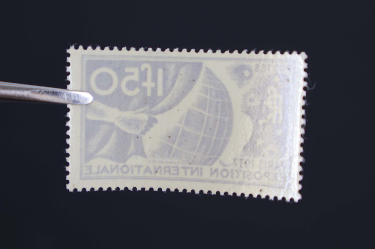 IMG 9561