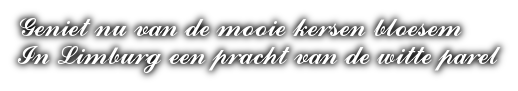 cooltext479683596210848