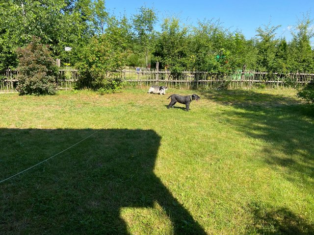 6-F49-D9-C6-DDF0-40-B5-BF81-ACF5-A889042