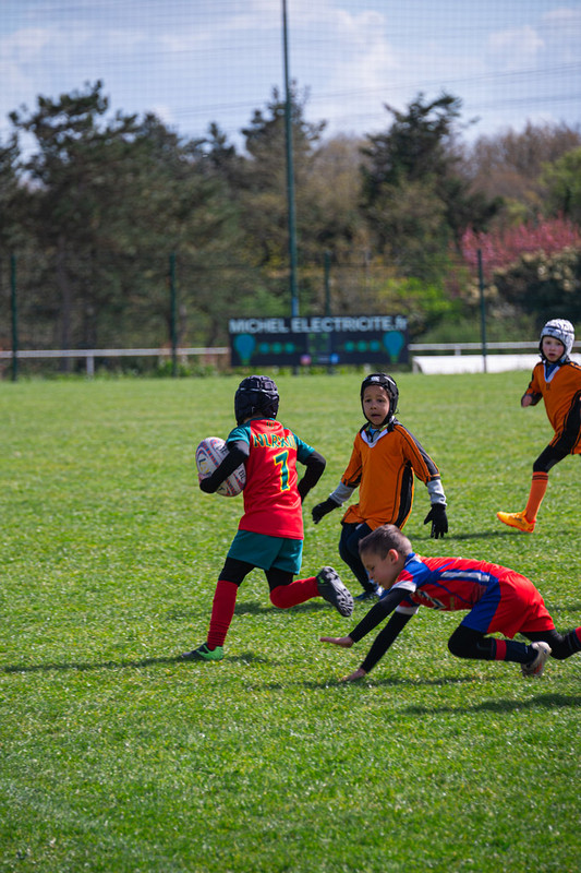 tournoi-de-latlantique-2026-adonis-griffon-71-55181457683-l