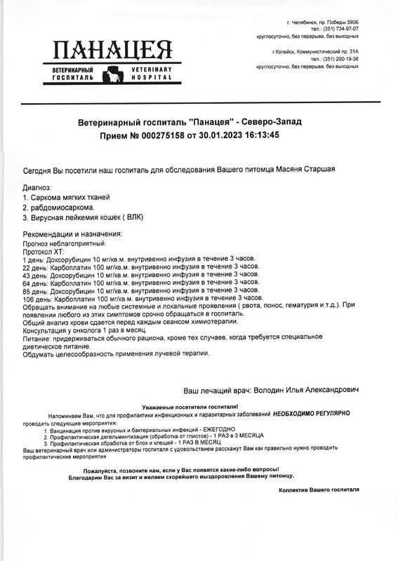 Назначение Масяня
