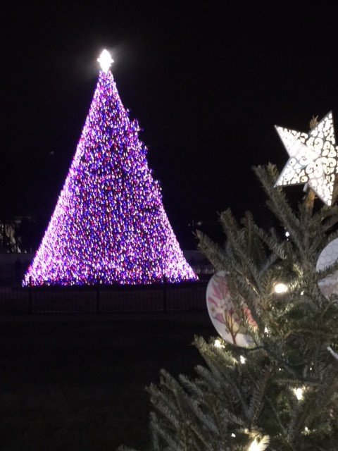 [Image: IMG-6179.jpg]