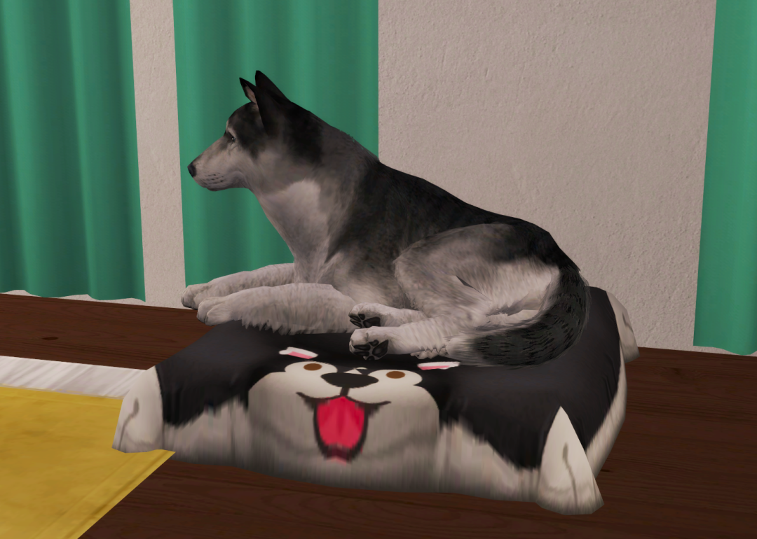 Sims2-EP9-RPC-2022-12-20-20-19-27-42