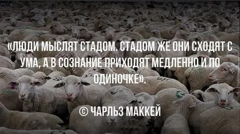 [Изображение: image.jpg]