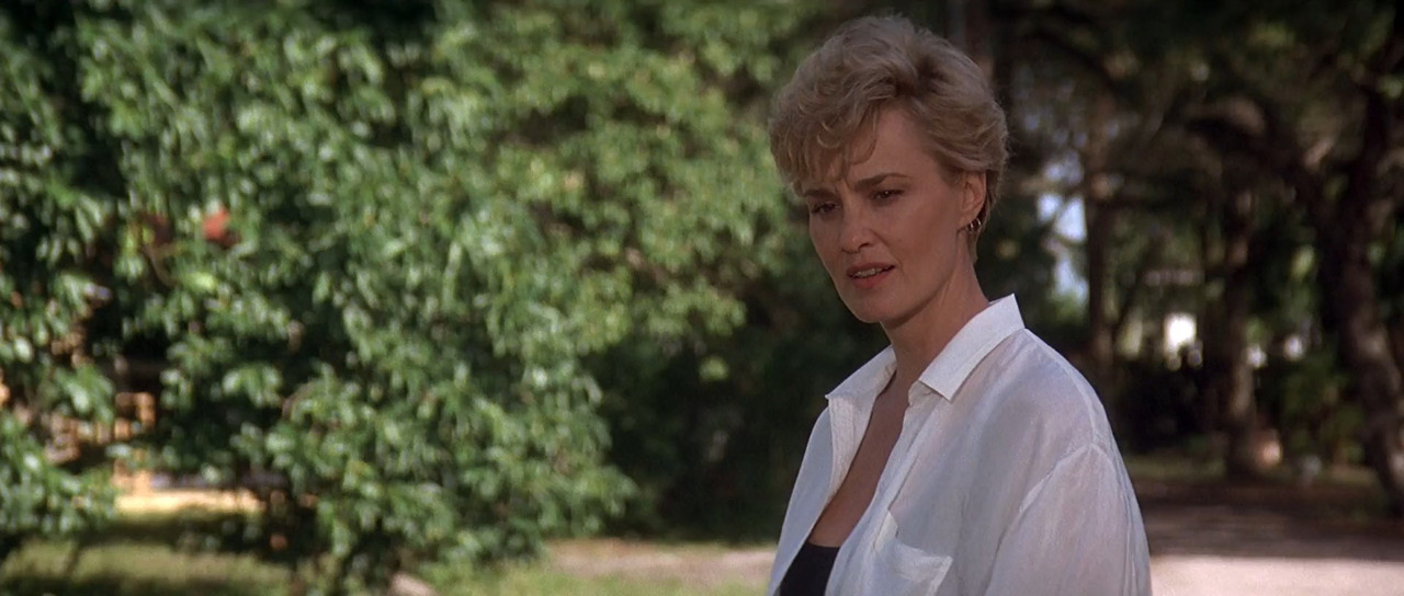 Cape Fear 1991 BluRay [Hindi + Tamil + Telugu + English] 1080p 480p 720p ESub Screenshot