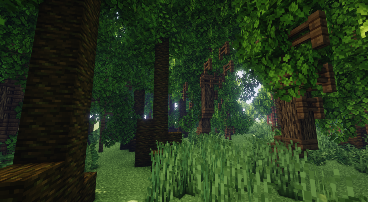 Jungle Forest