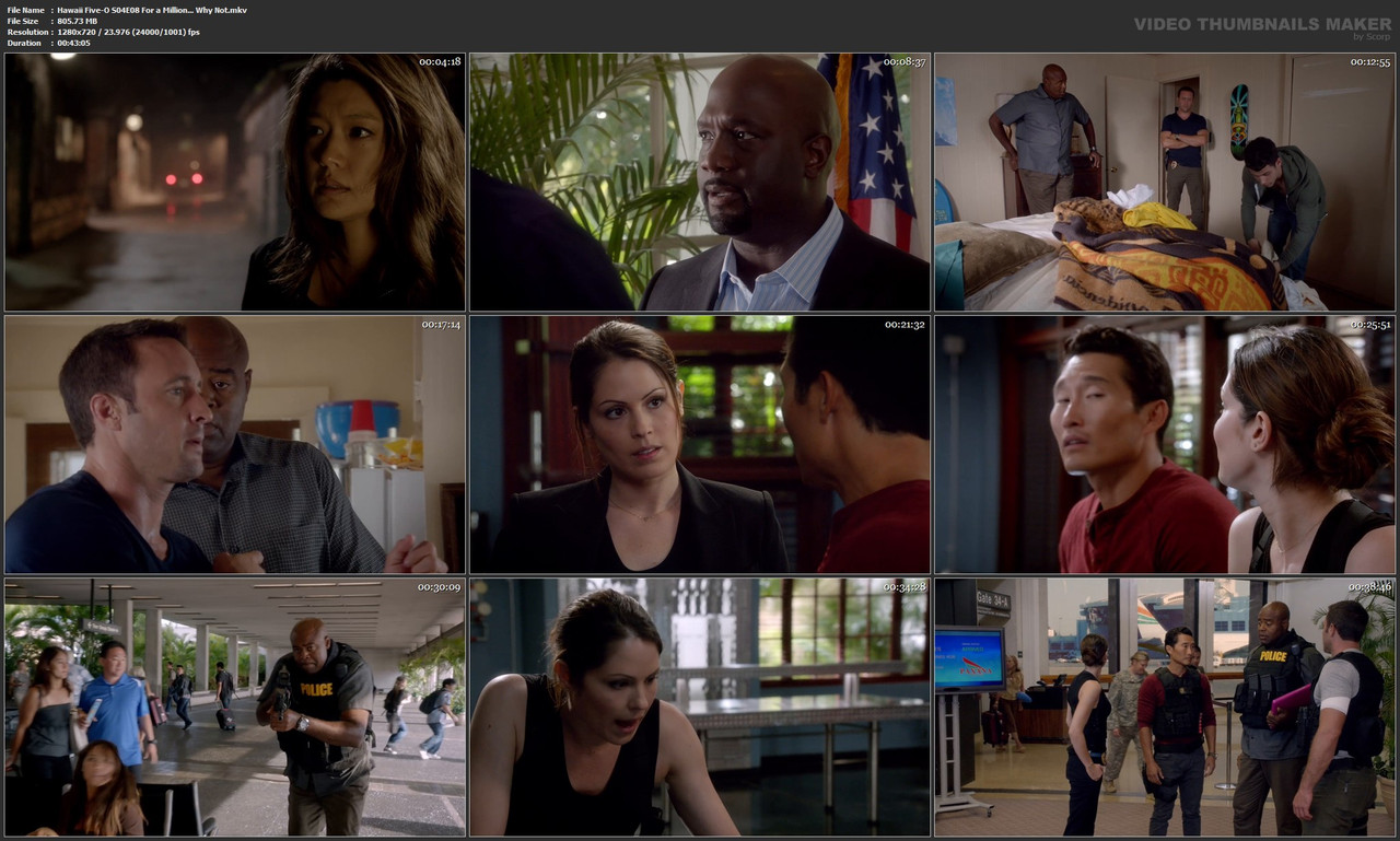 Hawaii Five-O S04E08 For a Million... Why Not.mkv