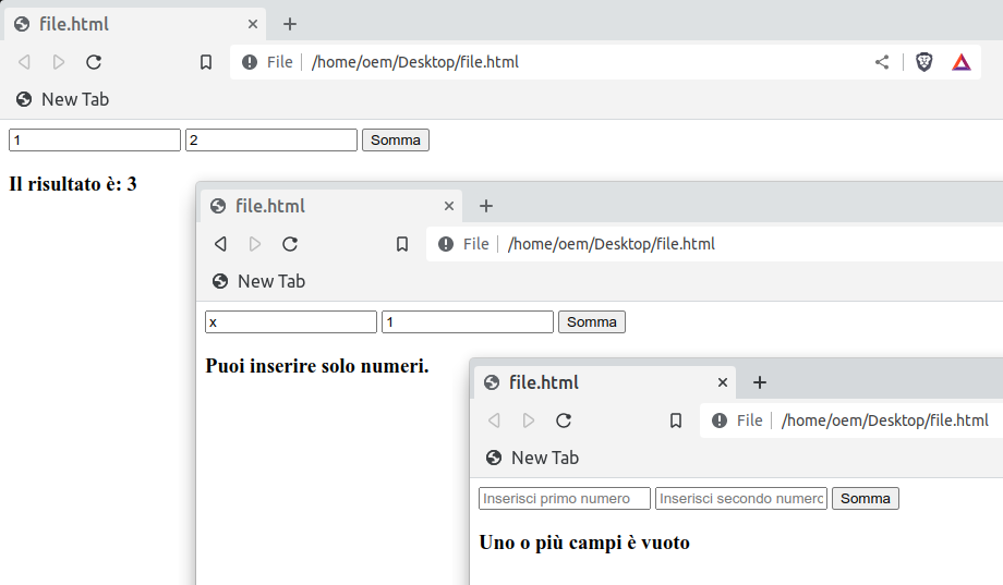 screenshot esercizio JavaScript input