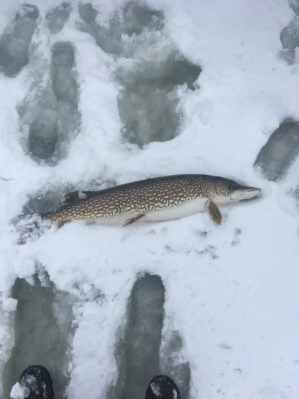 9B9D99EA-0985-444D-942B-05E4B2E81D02