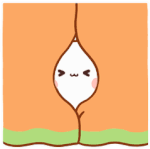 IMG-7111.gif