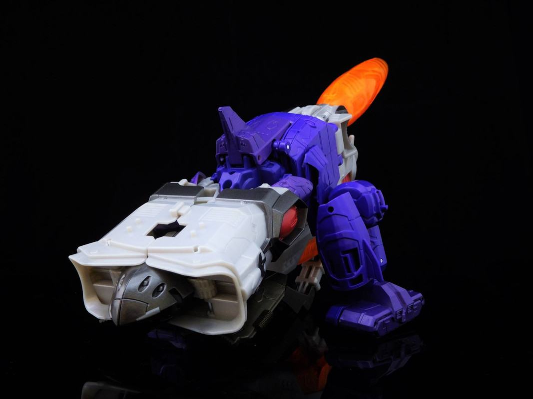 13522802_510028669190013_1120561015865050949_o