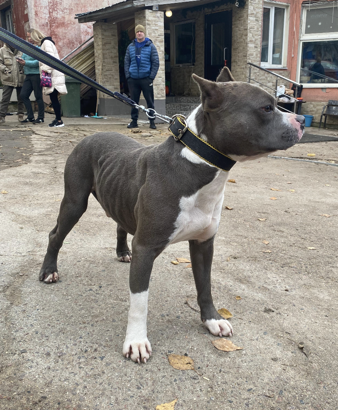 Снимок экрана 2024-10-28 в 19.51.37