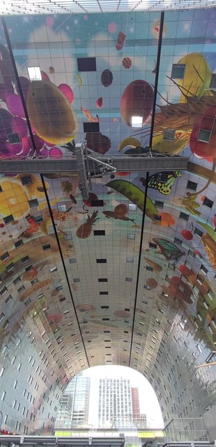 Escapada por Amsterdam - La Haya - Delft - Rotterdam - Leiden - Londres - Blogs de Europa - Museo Mauritshuis, decepcionante Depot Boijmans y callejeo por Delft y Leiden (95)