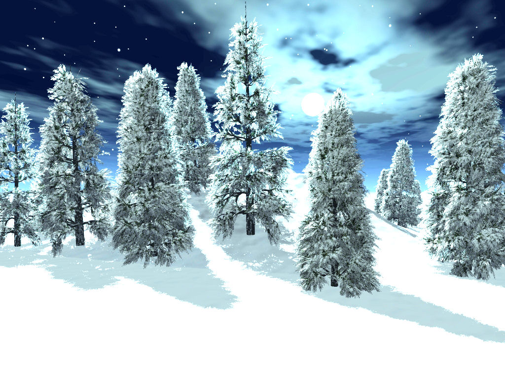 WINTER LOVE_DBJ-PP (3)