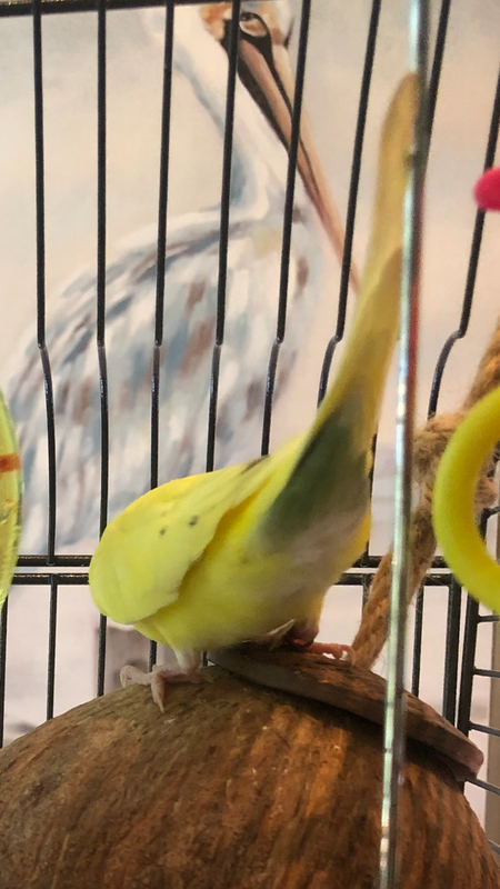 A203DE6C-A69E-442B-8606-BB06B8D6B668