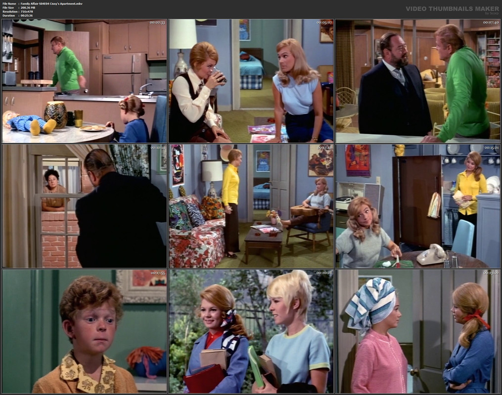 Family Affair S04E04 Cissy's Apartment.mkv