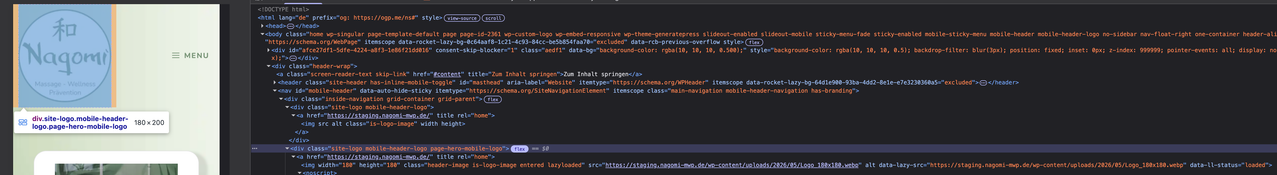 Staging-Instance