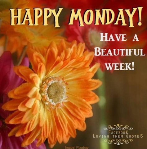 Monday-Beautiful-Week-PAULA