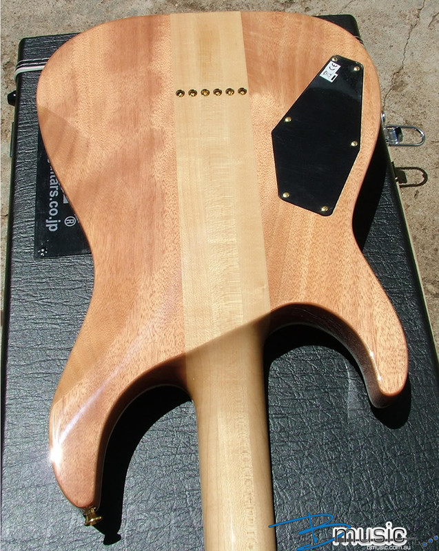 horizon_nt-ii_ng_gold_13