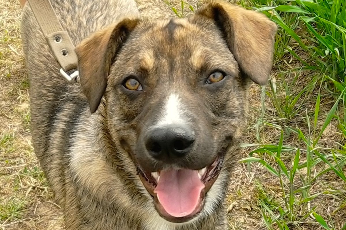 IMG_20190525_120156E