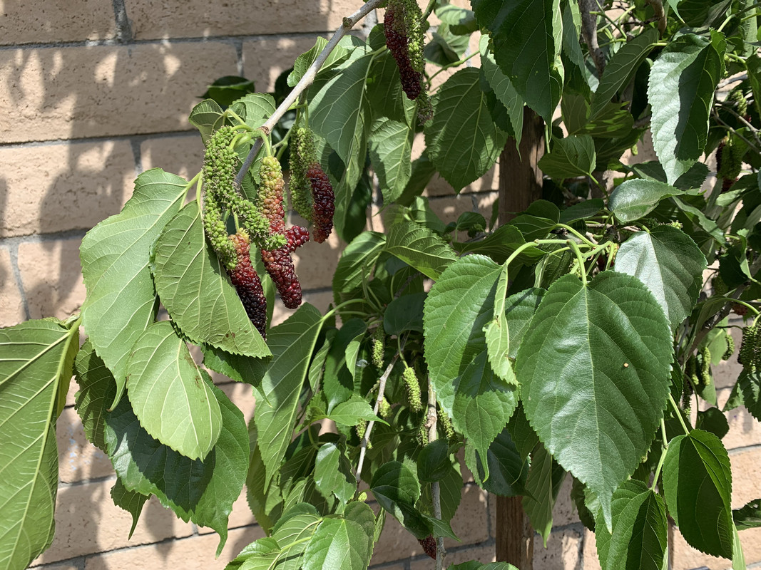 A8C14090-E311-4B5A-8DC0-ADDD47CC8FFE