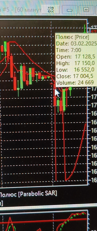 8 февраля 2025 Шип в Полюсе,Кто-то писал,что - их - шипов, не существует...))))))