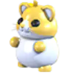 Golden Hamster