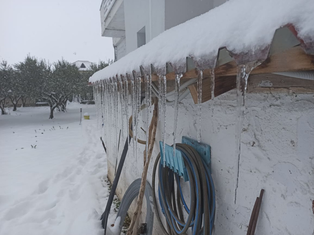 149893599_3677716269001913_8323050391968698717_n