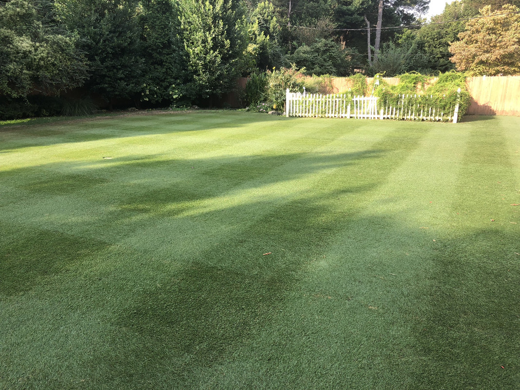 564E0944-0B10-441E-8FF6-7423B89A43B2