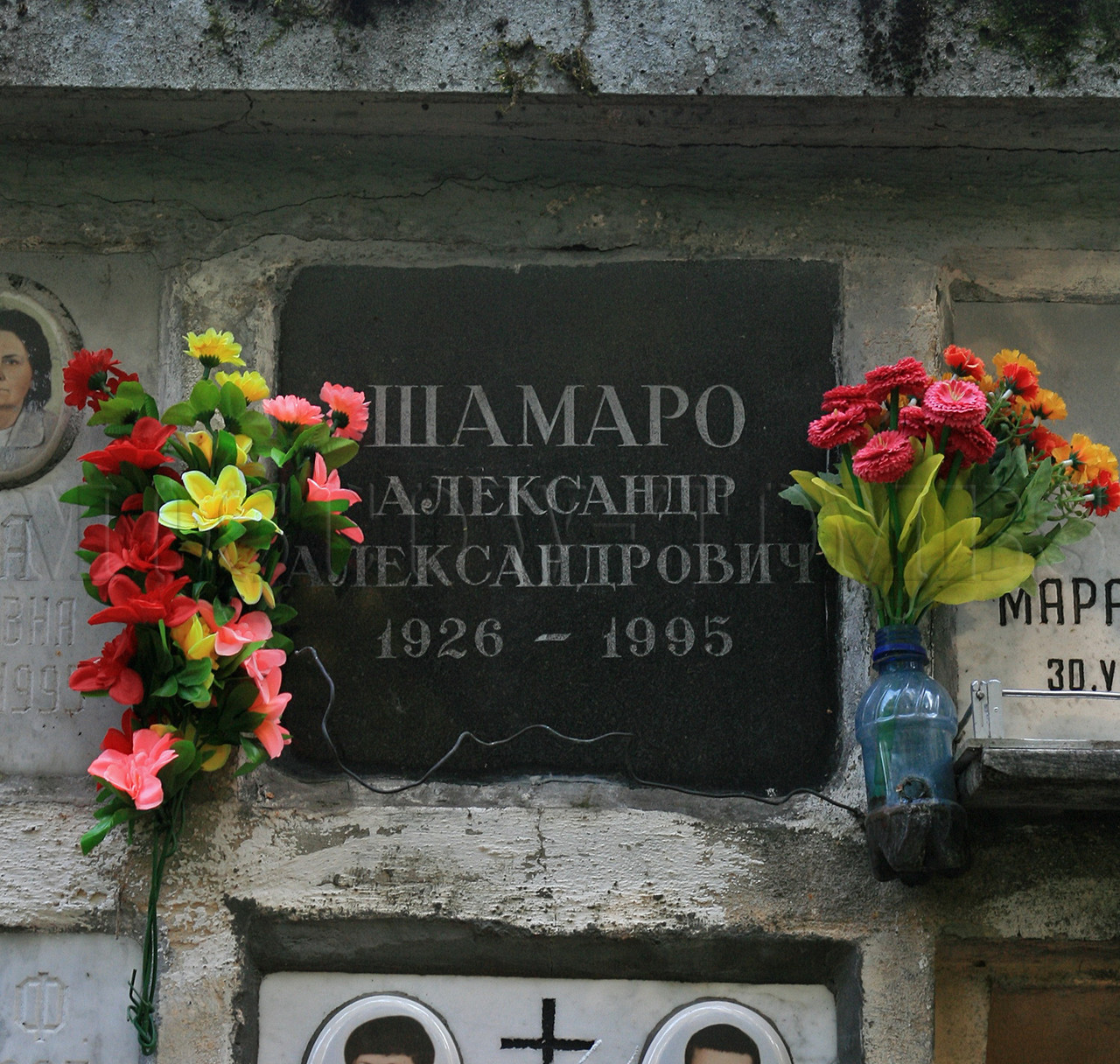shamaro-aa