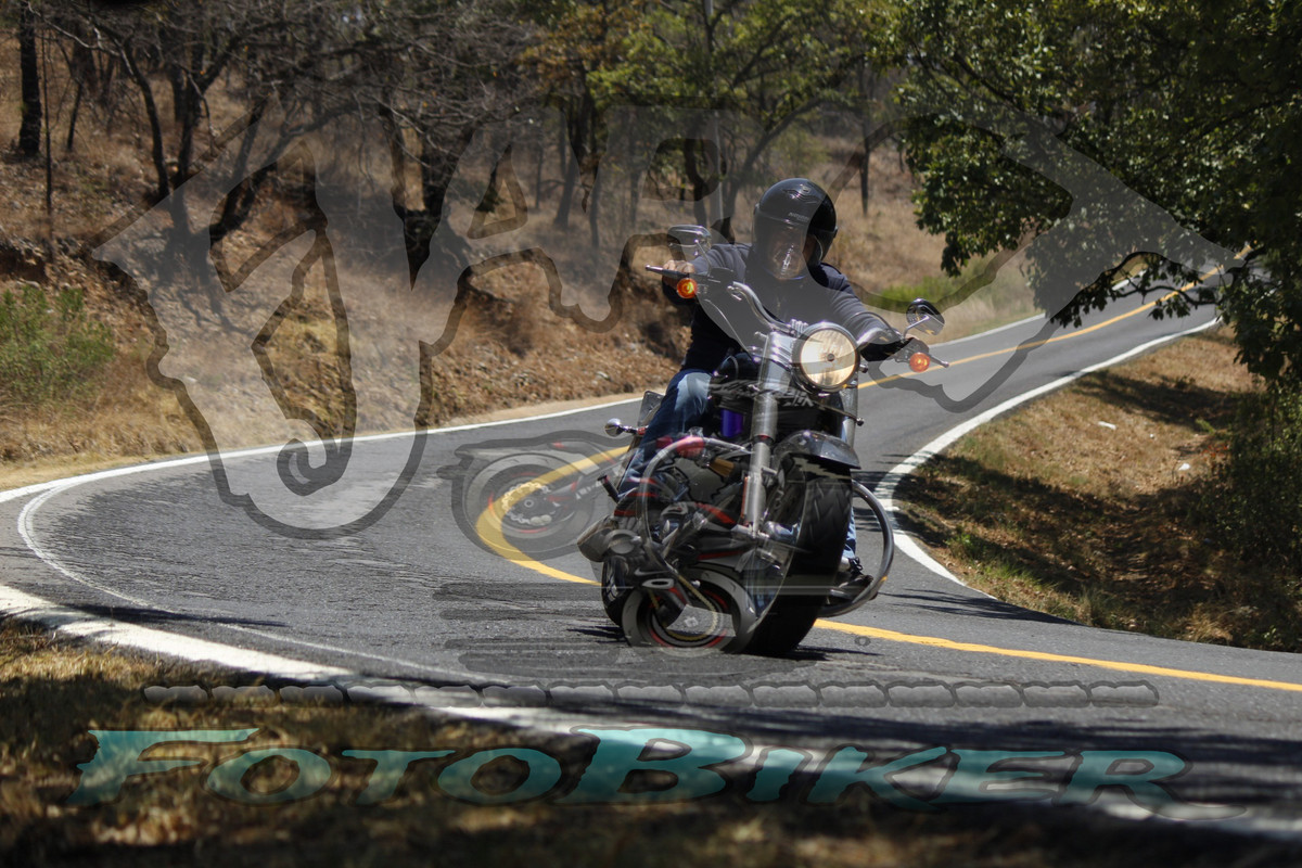 MG 0231 — Postimages