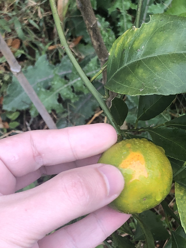 63782D7E-FBFA-495B-BE84-B8F4574CE0FC