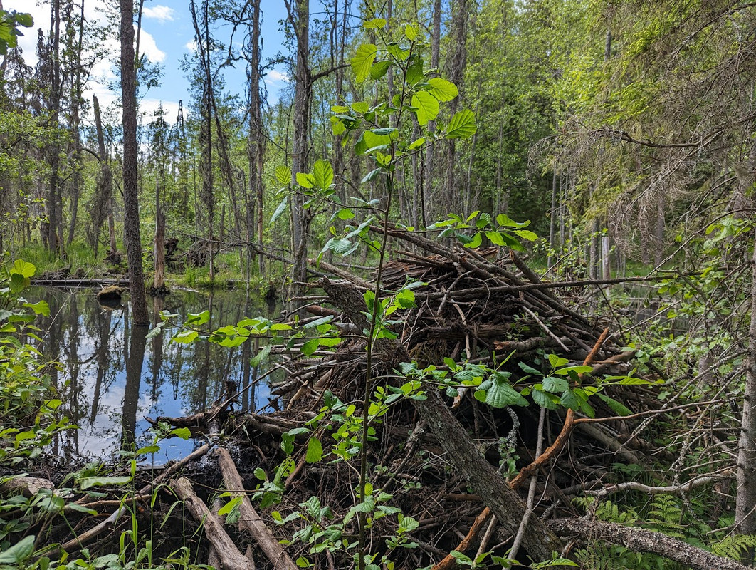 PXL_20230603_120249402