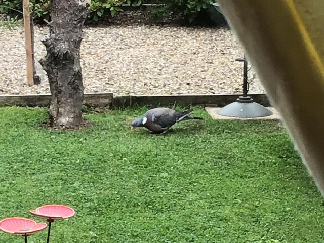 F96F0450-C300-4230-9C86-0EAC2AA470DC