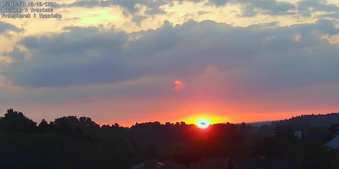 sloncenadpustymgniazdem