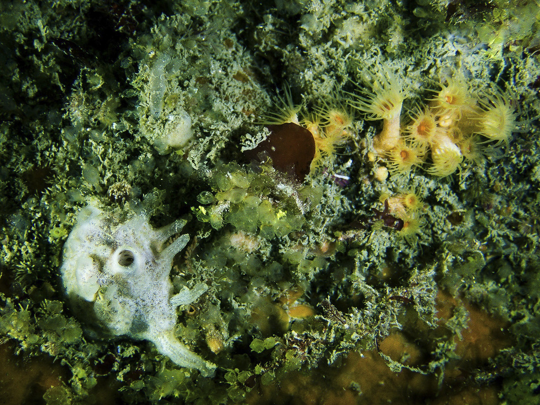 03004_14-15-3TH-8030082