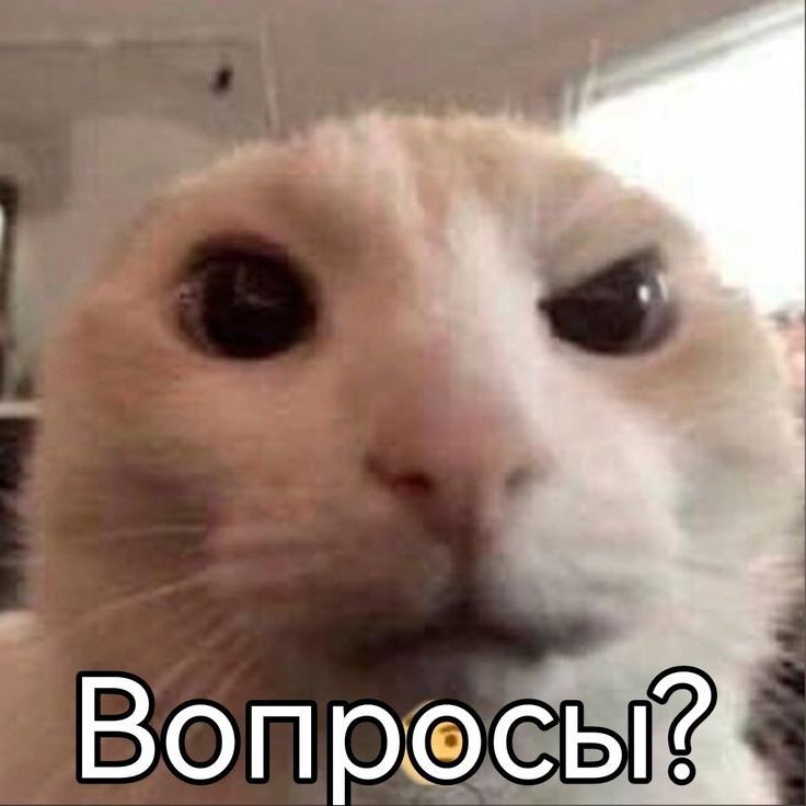 51c11d689357f99370a5a176f91a5718.jpg