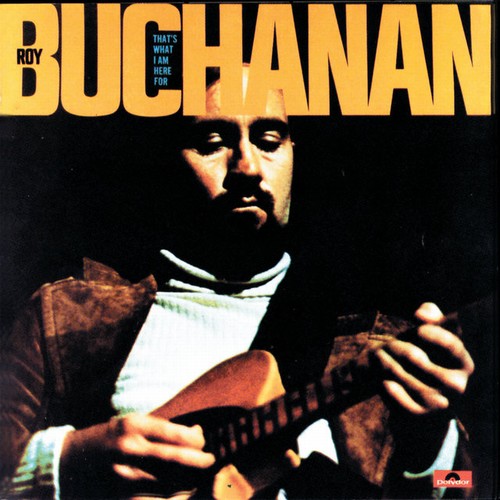 Roy Buchanan - That's What I Am Here For (1973)