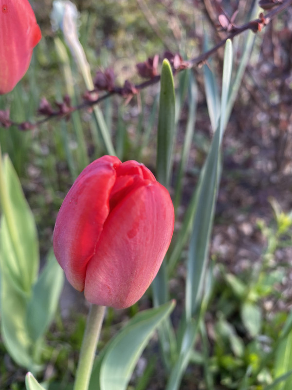 B4400BF8-EBFB-4B3A-B818-424AD51EBED9