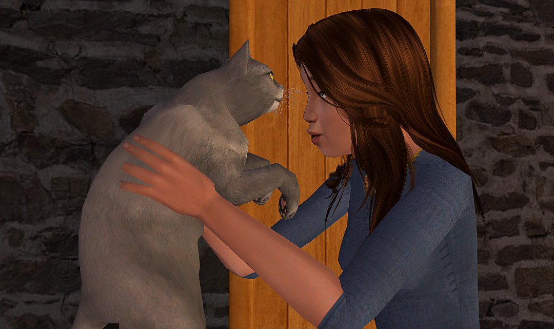 screenshot_2026_01_12_18_47