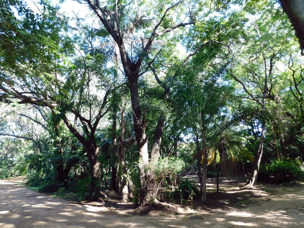 DSCN5675.jpg
