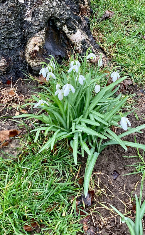 BFAF7FEE-9B5E-4BF8-A184-6922FE40951C