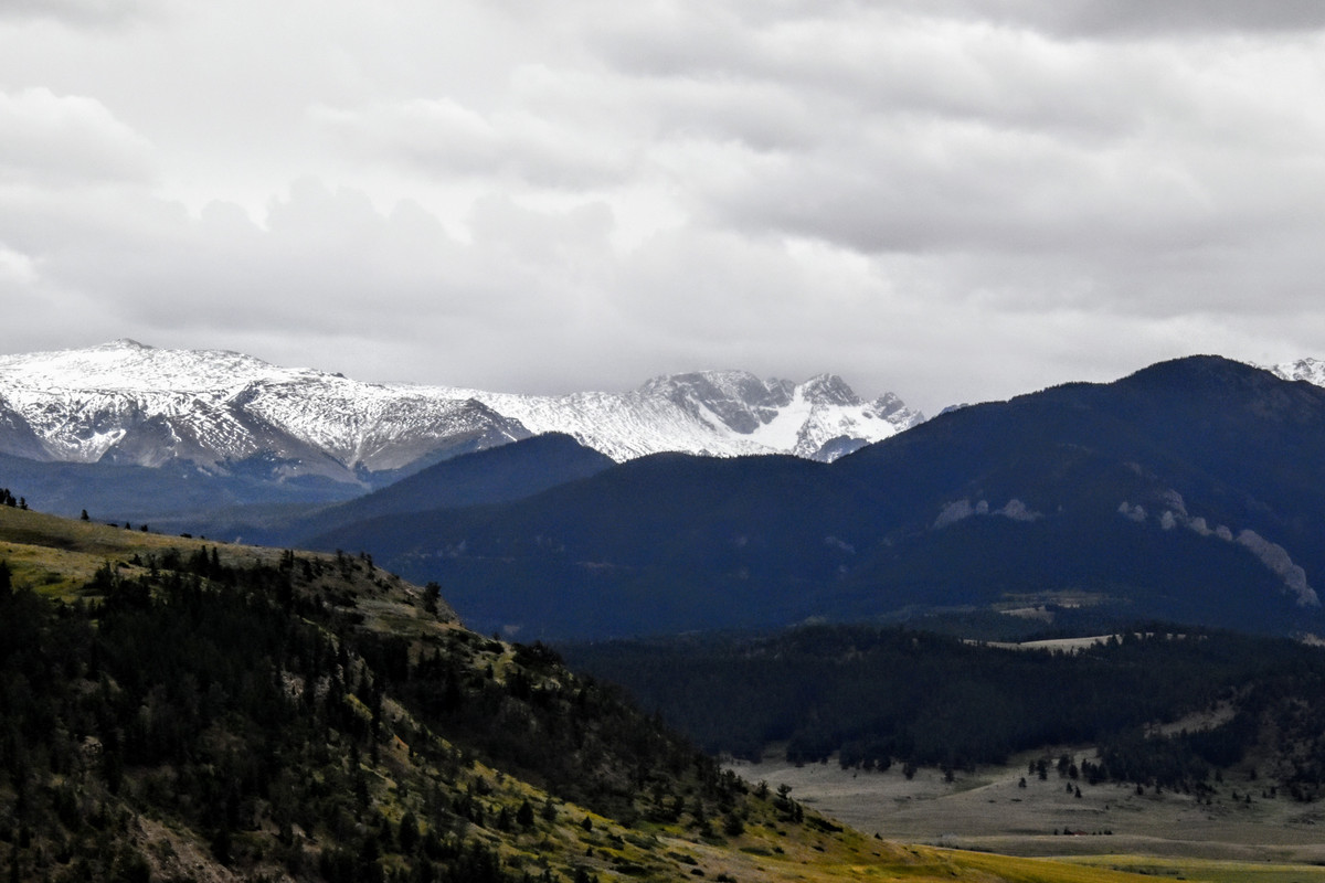 DSC_0030 (1)