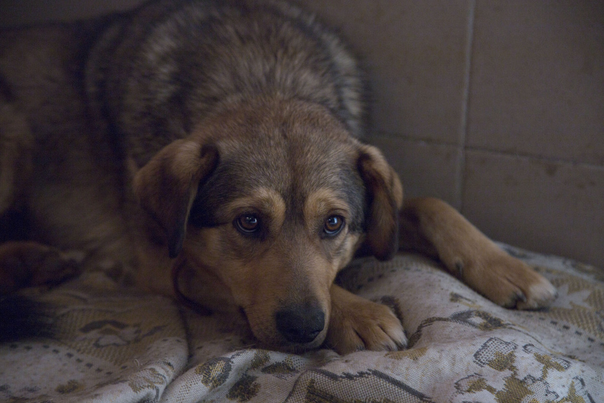 4E7B9F99-C089-407A-AA41-2055F5A81C25