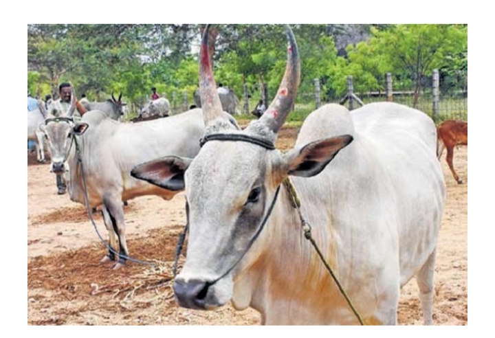 Screenshot-2020-10-06-11-50-27-505-org-m