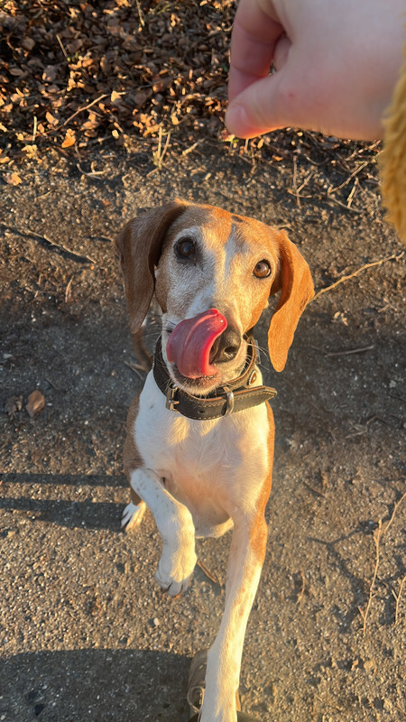 FBE0C5C8-1DE1-4C24-8096-C5FE75BFFB74