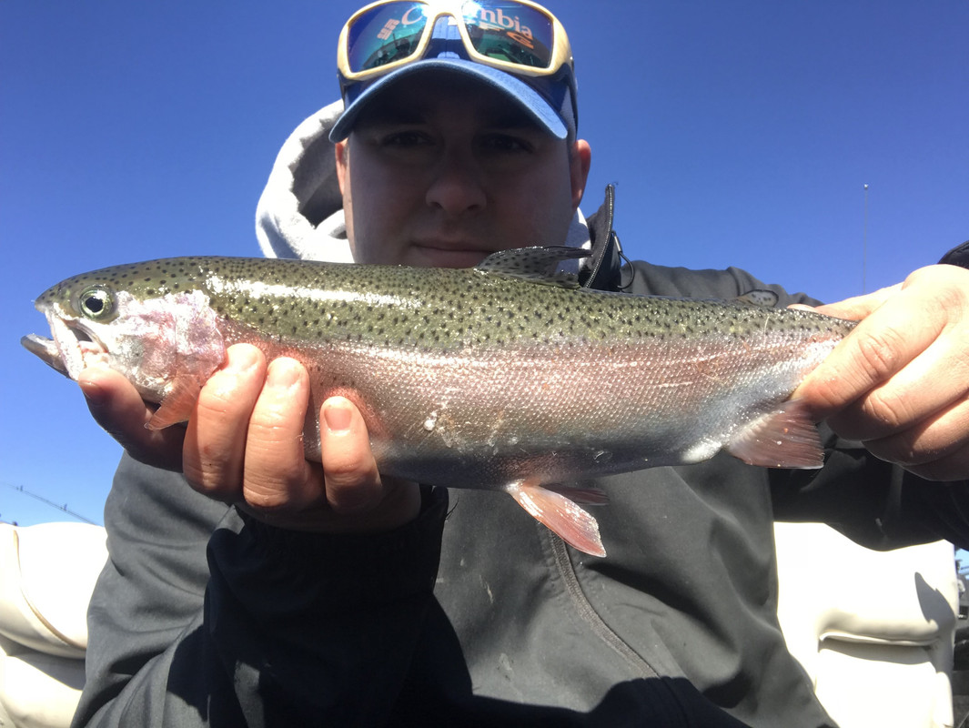 F60A7F90-DB68-4210-9F52-73BE11E6C547