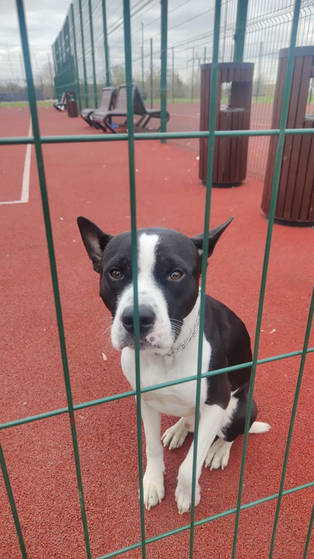 WhatsApp Image 2024-04-12 at 13.42.15 (2)