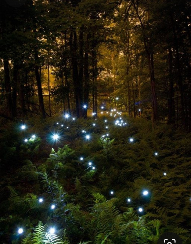 Screenshot_20230904_234730_Pinterest