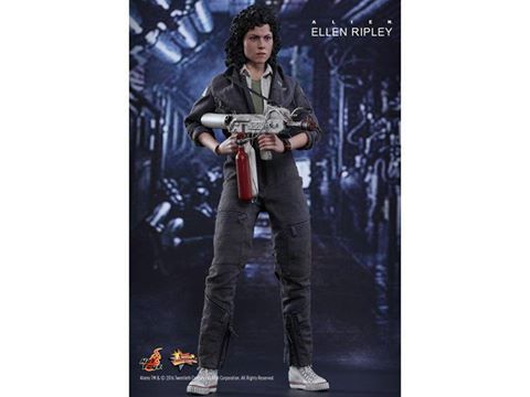 13138980_1146220608731467_4839295418376440718_n